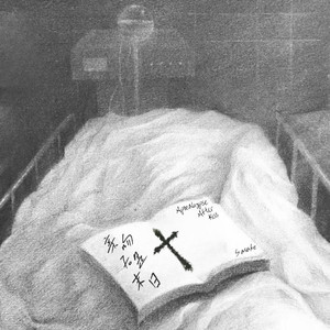 男人和女人一起尻屄
