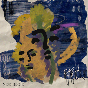 理伦片巜金三角丛林
