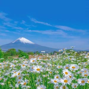 中国处女操逼疼嗷嗷哭视频
