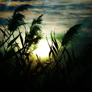 美女心研大尺度写真图片
