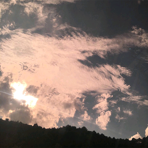 光屁股美女捅阴道网站
