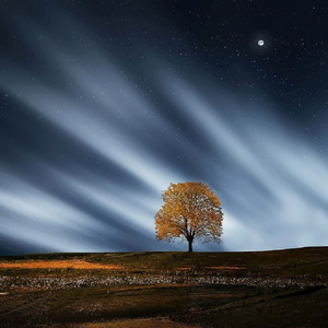 pornop日本XX精派
