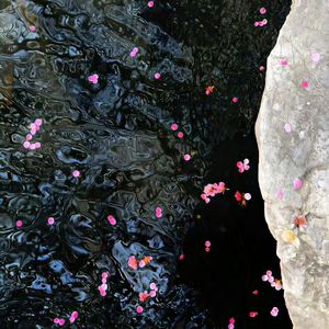 国产综合手机在线视频区
