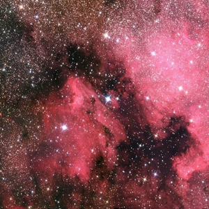 偷看麻麻洗澡我硬了
