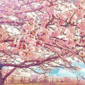 美女心研大尺度写真图片
