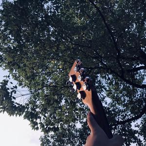 原神色色3D动画
