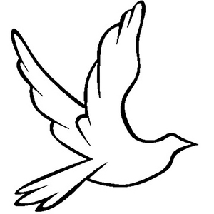 我要看中东国家大鸡巴精品
