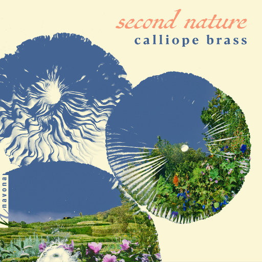 狂躁美女大BBBBBB2020
